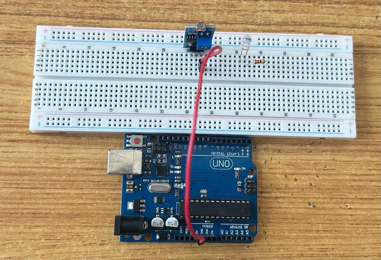 LDR fixed on beardboard